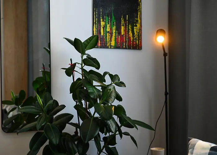 Center - Comfy & Modern 布拉迪斯拉发