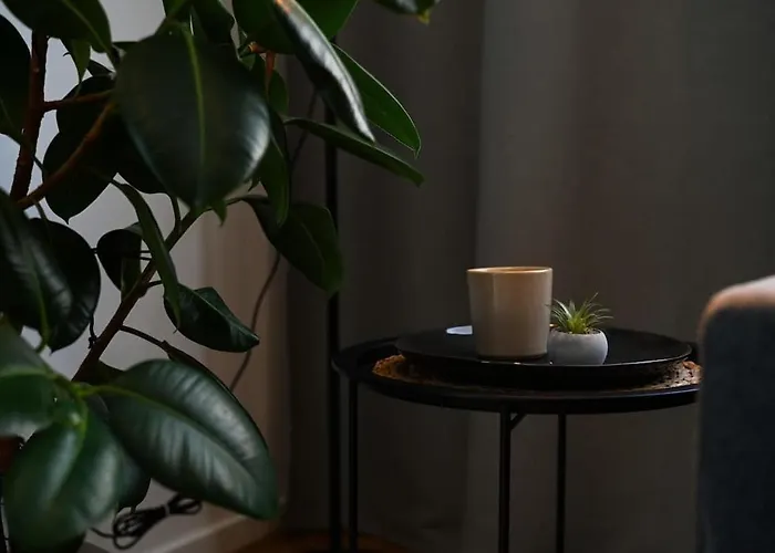 Center - Comfy & Modern 布拉迪斯拉发