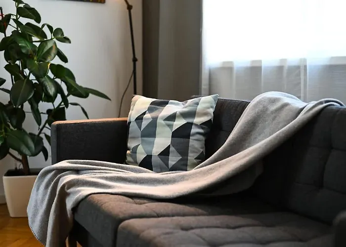 Center - Comfy & Modern